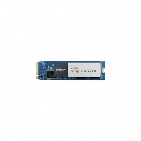 M.2 1600GB NVMe SNV5420