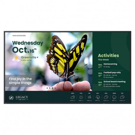 "BenQ 165.1cm (65"") ST6504 Android 14 UHD 2xHDMI 350nits (Speditionsversand)"