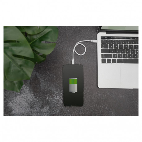 "DIGITUS Daten- / Ladekabel, USB-C - Lightning, MFI 1,0m"