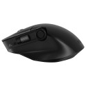 "ASUS MD300 MOUSE/BK/WW"