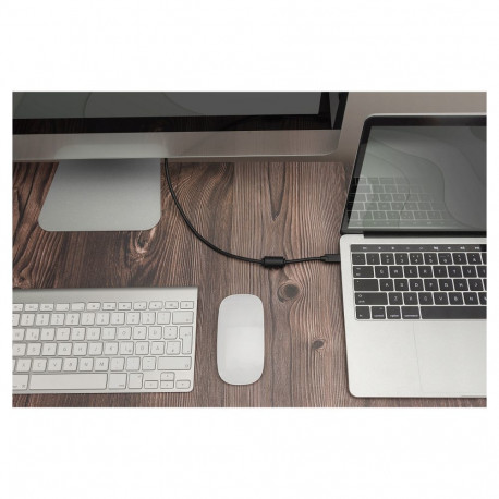 Digitus USB C adapterkaabel Typ C - DP 32,4GB St/St 2.0m, must
