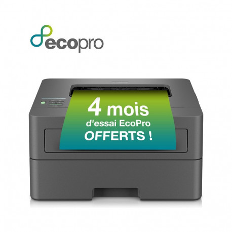 Brother HL-L2400DWE mustvalge laserprinter