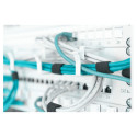 "DIGITUS Rangierpanel 1HE 5x Ringe 40x60mm grau"