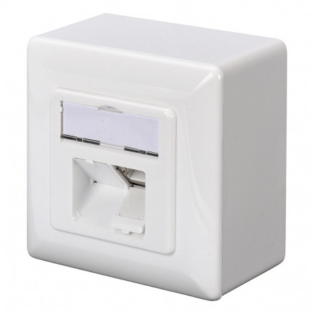 DIGITUS pindpaigaldatav seinapesa Cat6a 2xRJ45 varjestatud signaalvalge