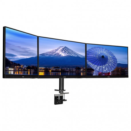 Iiyama lauakinnitus DS1003C-B1 paindlik