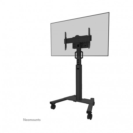 Neomounts FL50S-825BL1 must põrandastatiiv 37-75" ekraanidele