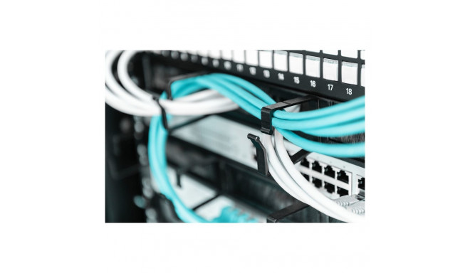 DIGITUS 1HE 19" 4 sangaga ja harjasliistuga must kaablihalduspaneel