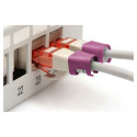 "DIGITUS Farbclips für Patchkabel 100Stk. Magenta"