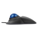 "Kensington Orbit Trackball"