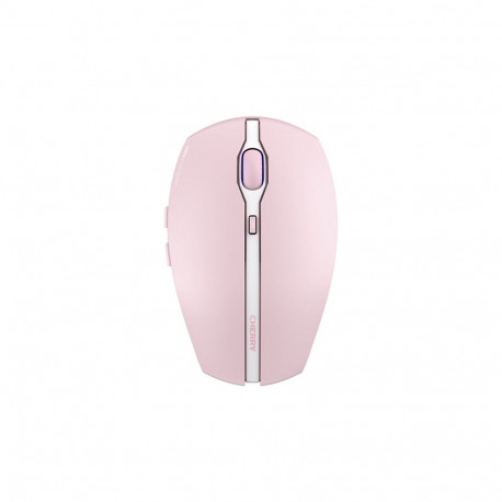 "Cherry Gentix BX Kirschblüte"