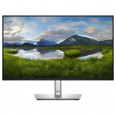 "60,47cm/23,8"" (1920x1080) Dell P2425HE 16:9 FHD IPS 5ms 100Hz HDMI DP USB-C RJ45 Black/Silver"