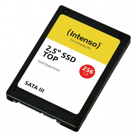 "256GB Intenso Top Performance"