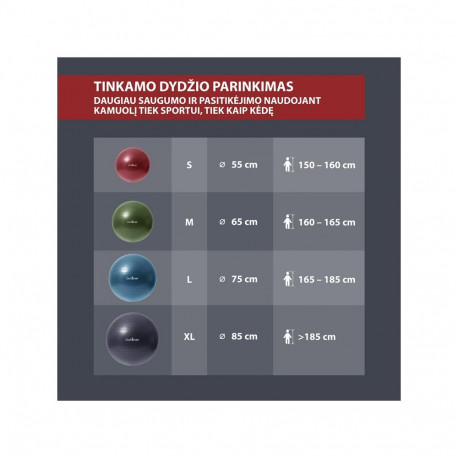 Purunemiskindel võimlemispall LS3222-65CM PVC