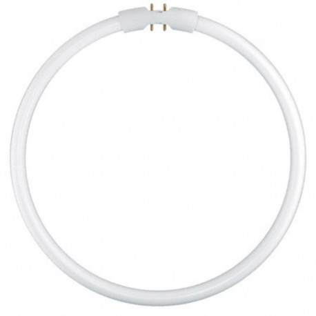 Osram Circular Fluorescent Lamp T5 FC22W 840 2GX13