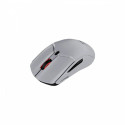 Mouse Pulsefire Haste 2 Pro - 4K Wireless - A1KY5AA