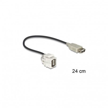 Delock Keystone-moodul USB 2.0 A pesa 250 > USB 2.0 A pesa kaabliga, valge