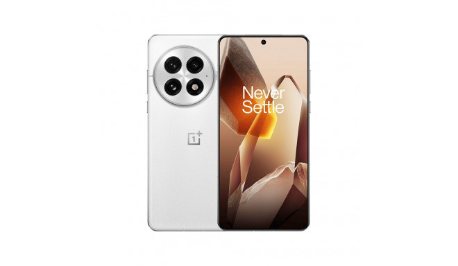 OnePlus 13 512GB 16RAM 5G hõbedane