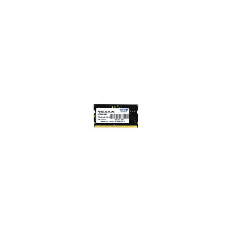 "16GB Patriot SO-DIMM PC4800 (1x16) Memory Signature"
