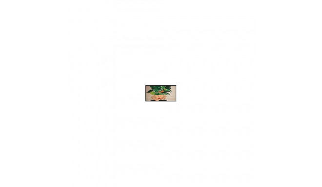 "PHILIPS D-Line 43BDL4511D 24/7/UHD/450cd"