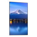"Sharp MultiSync P556 Digital Signage 138,8 cm (55 Zoll)"
