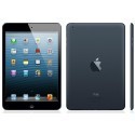Apple iPad Mini 16GB WiFi A1432, серый