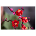 "LEGO Icons - Pflaumenblüte"