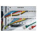 "DIGITUS Patchkabel CAT 6A F/FTP Slim 0,30m rot"