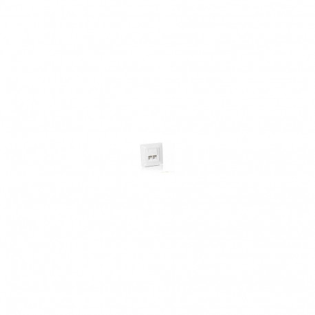 Equip süvispaigaldatav pesa +esipaneel 2xRJ45 Cat5e 45° RAL 1013