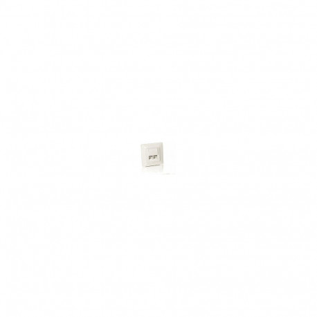 Equip süvistatav seinatoos 2xRJ45 Cat5e 45° RAL 1013