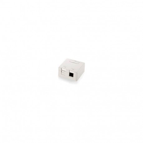 Equip pinnapealne seinapesa 2x Keystone kattega premium valge