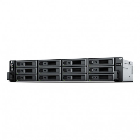 12 pesaga Synology RackStation RS2423+