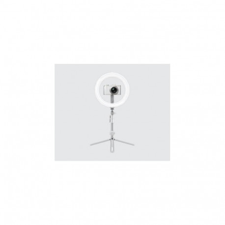 Kodak ringlamp RL001 10