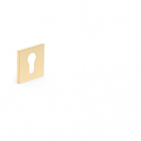 ESCHUTCHEON FOR CYLINDER GOLD
