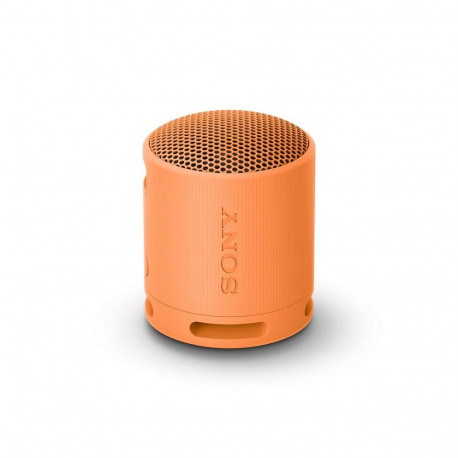 Kaasaskantav kõlar Sony, IP67, BT,, USB-C,