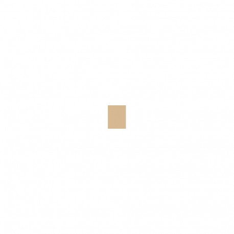 Shiseido Sun Protection Tanning Compact Foundation (12ml) (Honey)