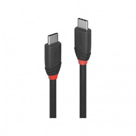 "LINDY USB 3.1 Kabel Typ C/C 3A Black Line M/M 0.5m"