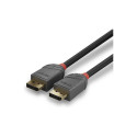 "LINDY DisplayPort Kabel Anthra Line 1m"