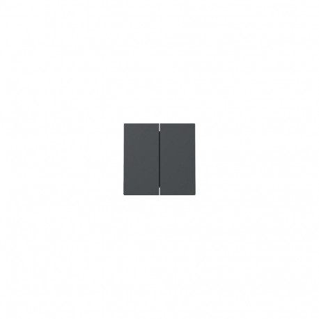 "GIRA 329528 Wippe 2f System 55 Anthrazit"