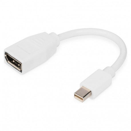 "DIGITUS DisplayPort Kabel, mini DP - DP St./Bu. 0,15m weiß"