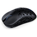 ENDORFY LIV Wireless (black)