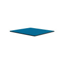 Thermal Grizzly Minus Pad Advance - 100x100x0.5 mm, thermal pads (pack of 2)