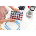 Emsa CLIP & CLOSE cold cuts box system 1.0 liter, 4-piece, can (transparent/blue, rectangular)