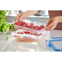 Emsa CLIP & CLOSE cold cuts box system 1.0 liter, 4-piece, can (transparent/blue, rectangular)