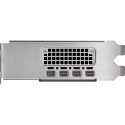 PNY NVIDIA RTX 2000 Ada Generation 16GB PB, graphics card