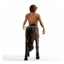 Schleich Wizarding World Firenze, game figure