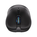 ENDORFY Gem Plus Wireless, gaming mouse (black)