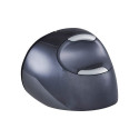 Evoluent VerticalMouse D, mouse (black / silver, large, RH)
