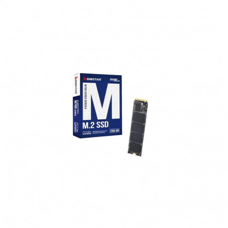 Biostar M760 256 GB M.2 PCI Express 4.0 NVMe