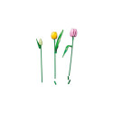 LEGO Botanicals Tulbikimp