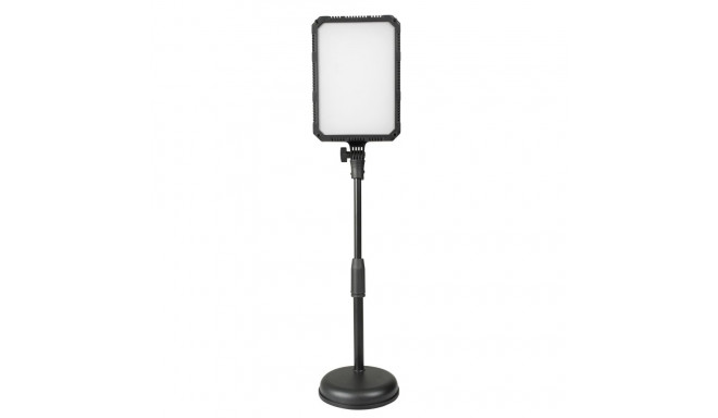 Kaiser PL24 Vario LED Desktop Lamp